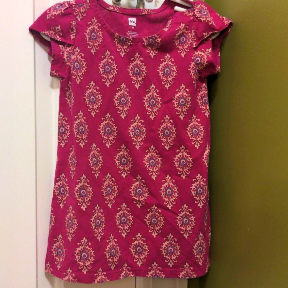 Pink Tea Collection 2T A-line dress